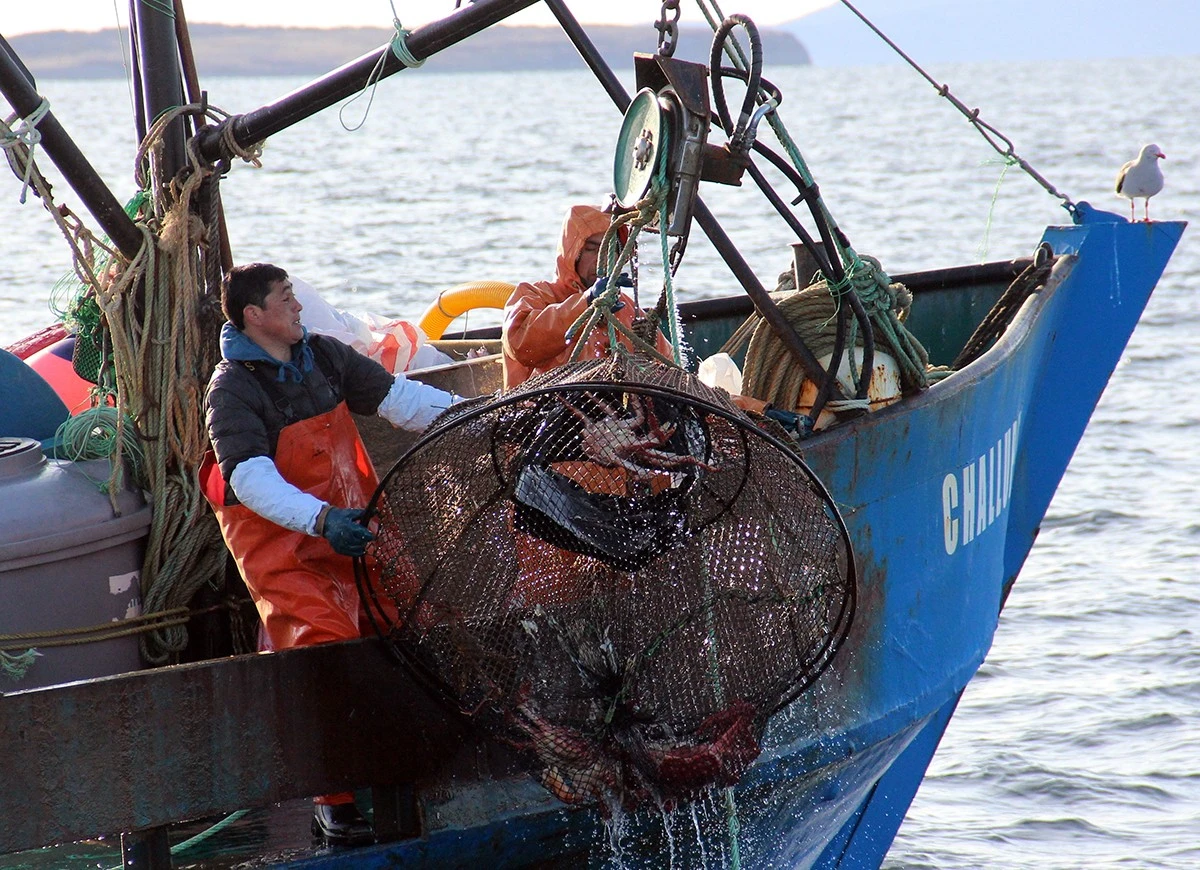 Pescadores artesanales de Magallanes se movilizan a Santiago y exigen al Gobierno atender la crisis del sector