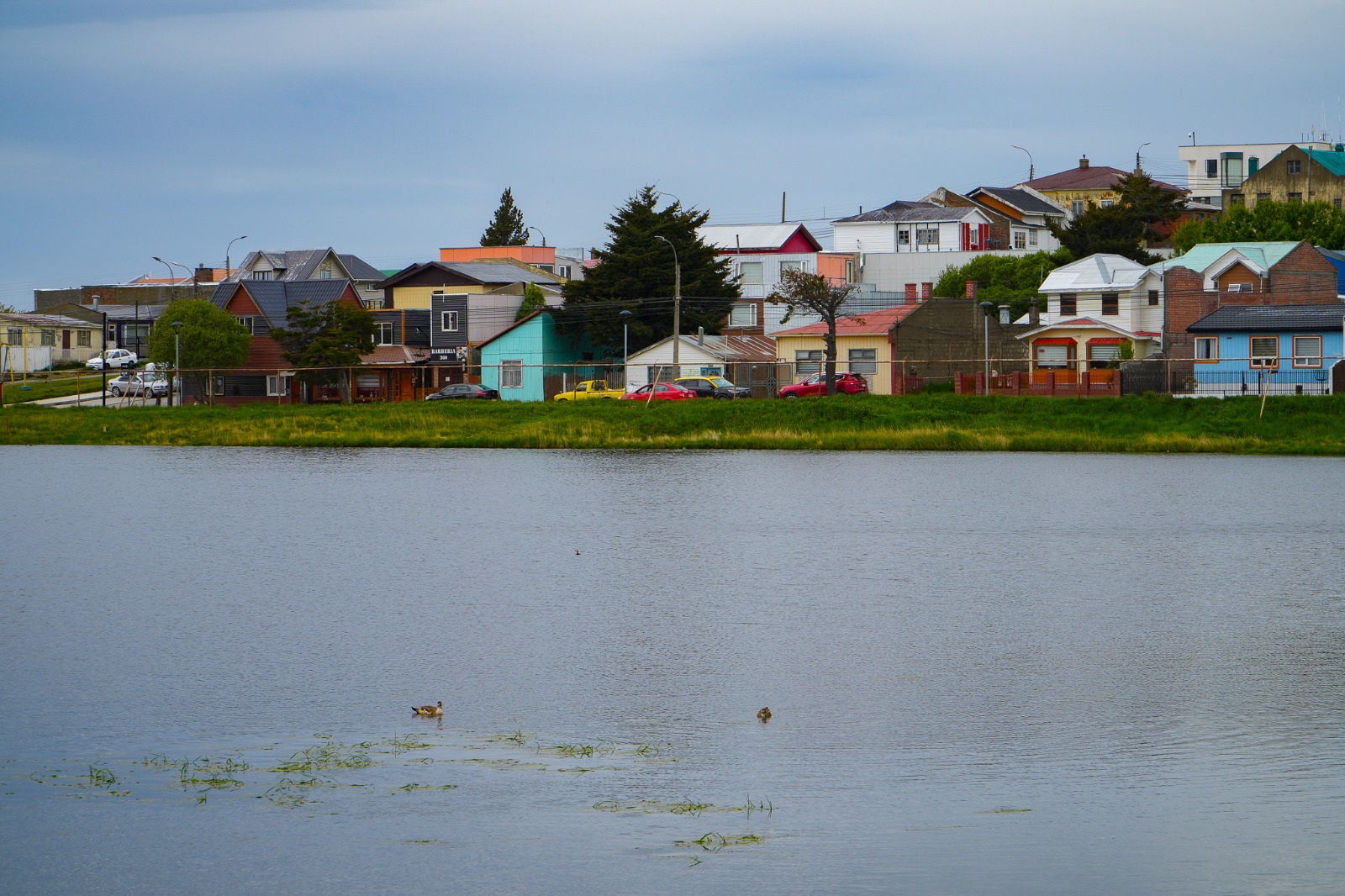 Punta Arenas suma un nuevo pulmón verde: arranca la construcción del Parque Urbano Laguna Pudeto