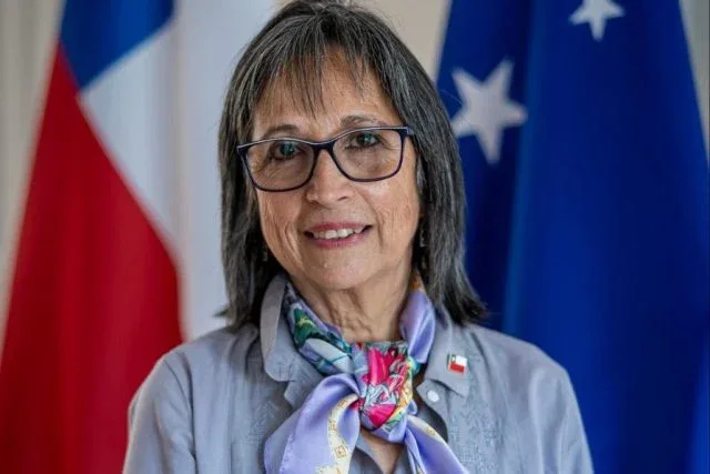 Denuncian que delegada presidencial de Tierra del Fuego figura como abogada en web oficial, pero no está registrada en la Corte Suprema