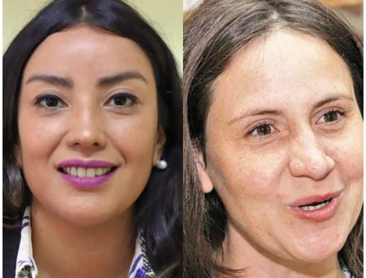 El controversial arribo de Daniella Panicucci a la Delegación Presidencial de Magallanes [Por Mauricio Vidal Guerra]