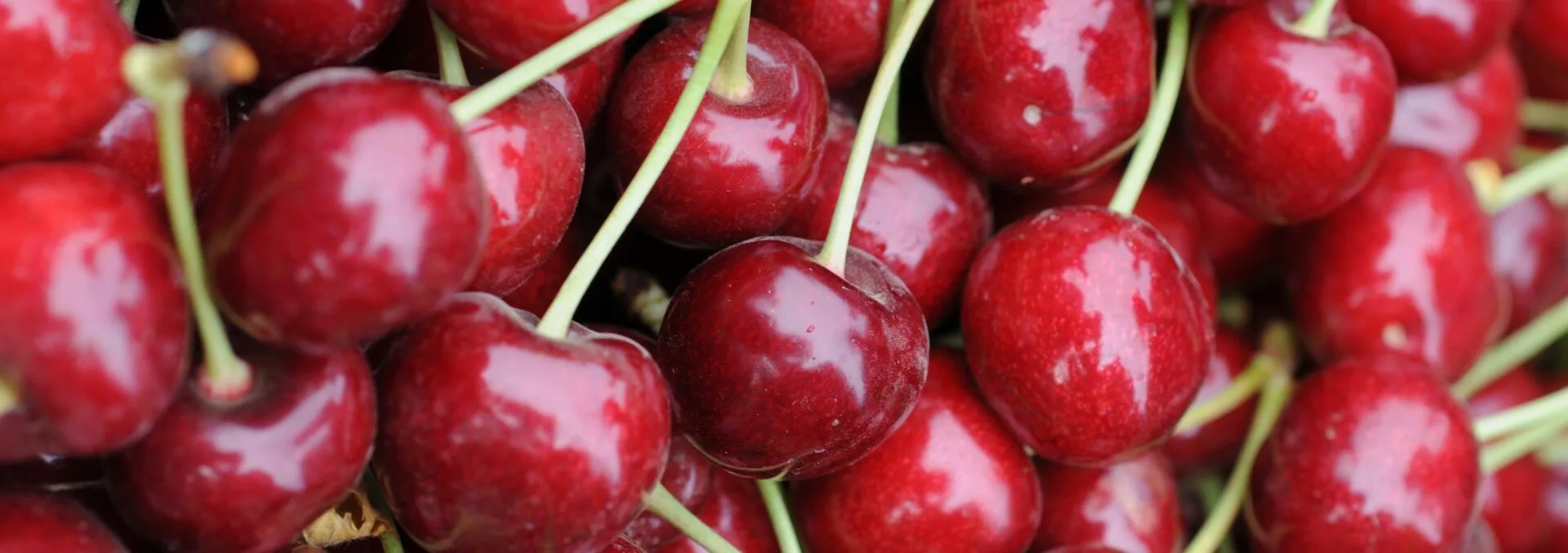 Chile y China firman memorándum para facilitar exportación de fruta fresca