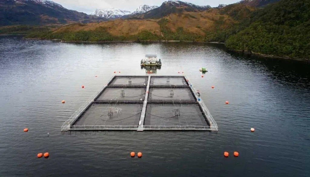 Solicitudes costeras en Magallanes: ¿Derecho ancestral o una estrategia para frenar la inversión regional?