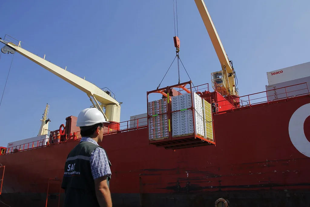 Chile abre una nueva vía para acelerar sus exportaciones de fruta a China