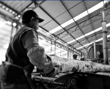 ¿Meta de 100 mil empleos?: "tenemos que aspirar a mucho más”