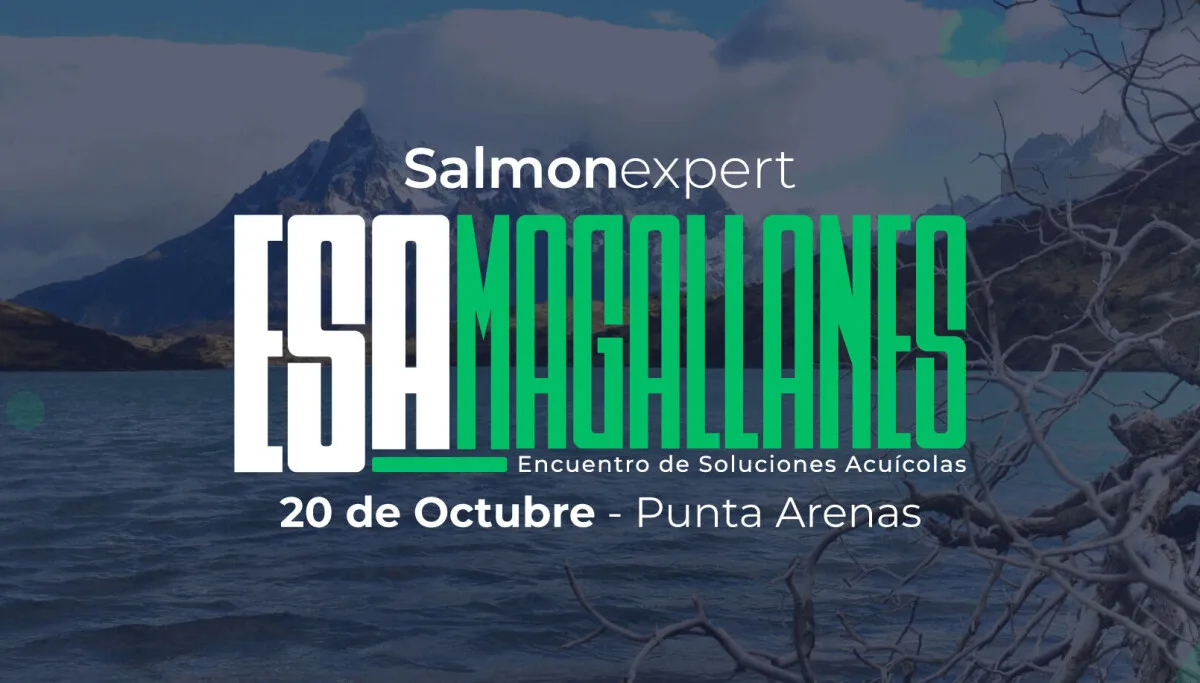 Industria salmonera se reúne con proveedores locales: Feria "ESA Magallanes 2026" será este 20 de octubre