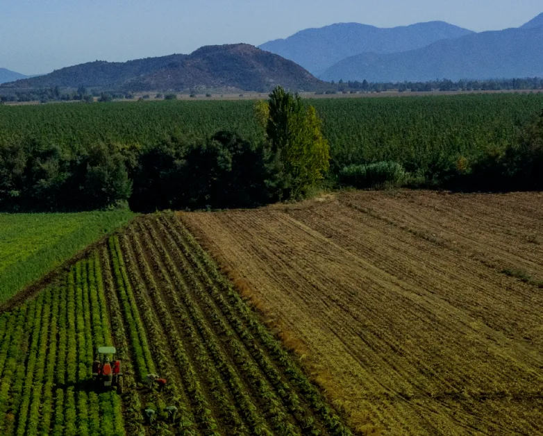 Chile Agrícola 2026 abre inscripciones: innovación, agua y juventud rural marcarán el encuentro