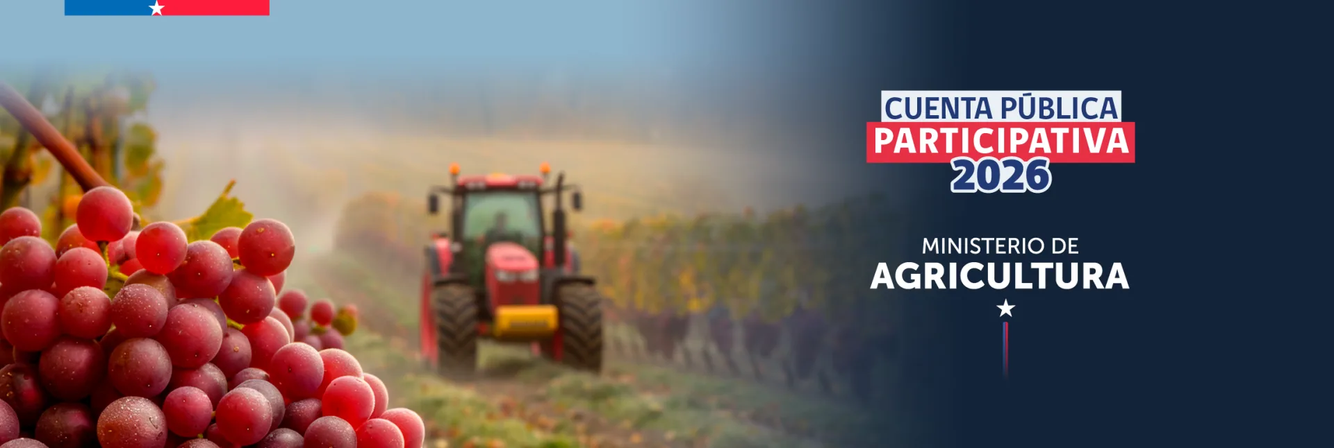 Estados Unidos demanda fruta nacional y Chile busca destrabar los envíos