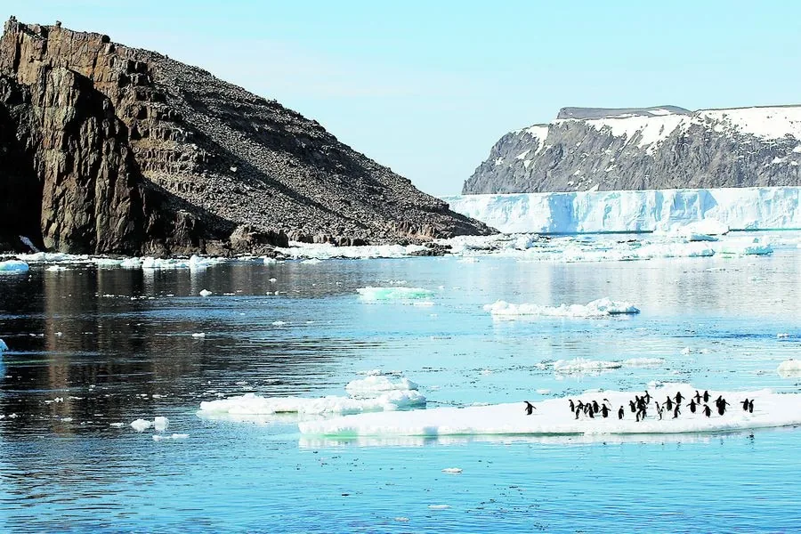 18,3 grados en la Antártica; Récord de temperatura se registró en febrero de 2020 según Organización Meteorológica Mundial