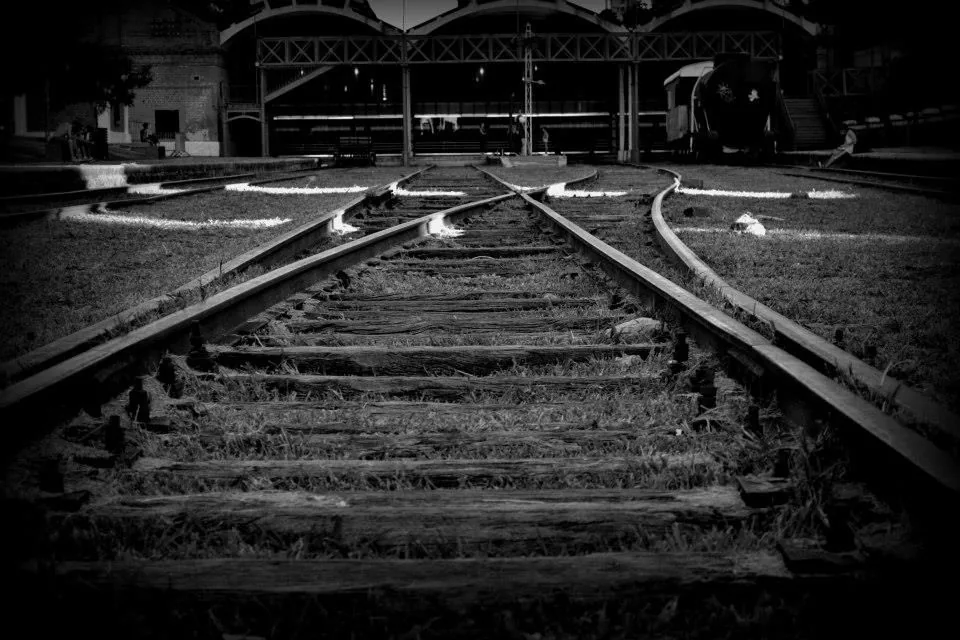 Cuando la diversidad de caminos puede convenir una dirección [Columna de José Saldivia]
