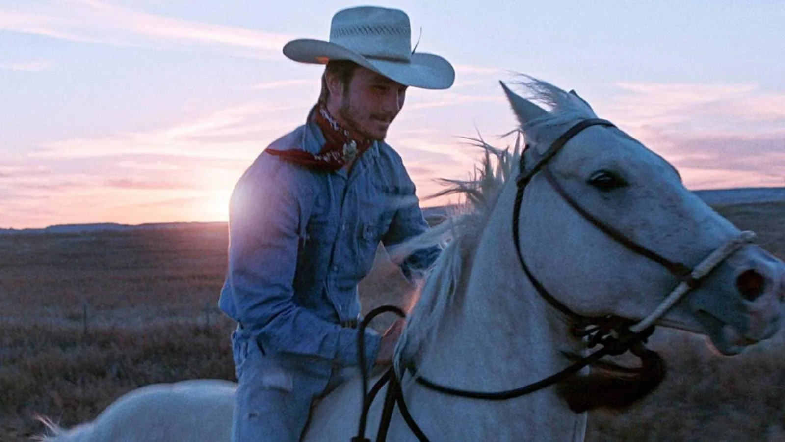 "The Rider", una de esas hermosas películas que pudo filmarse en Magallanes