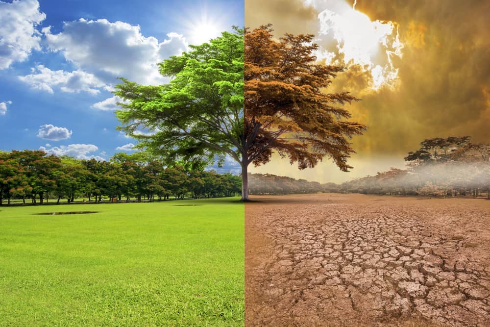 Lo que hay que saber del categórico informe de la ONU sobre la crisis climática y sus consecuencias