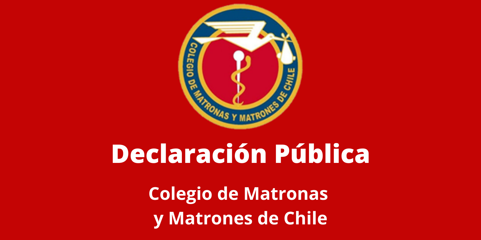 Matronas en Alerta Máxima protestaron y entregaron petitorio a Piñera en defensa de la Salud de las Mujeres