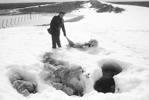 Pronóstico incierto del invierno magallánico: desde un “otoño permanente” hasta frio intenso y precipitaciones de nieve en nuevo aniversario del “Terremoto Blanco”