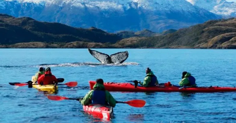 El Plan Piloto de Reapertura Turística para Magallanes que presentarán a los ministros de Salud y Economía