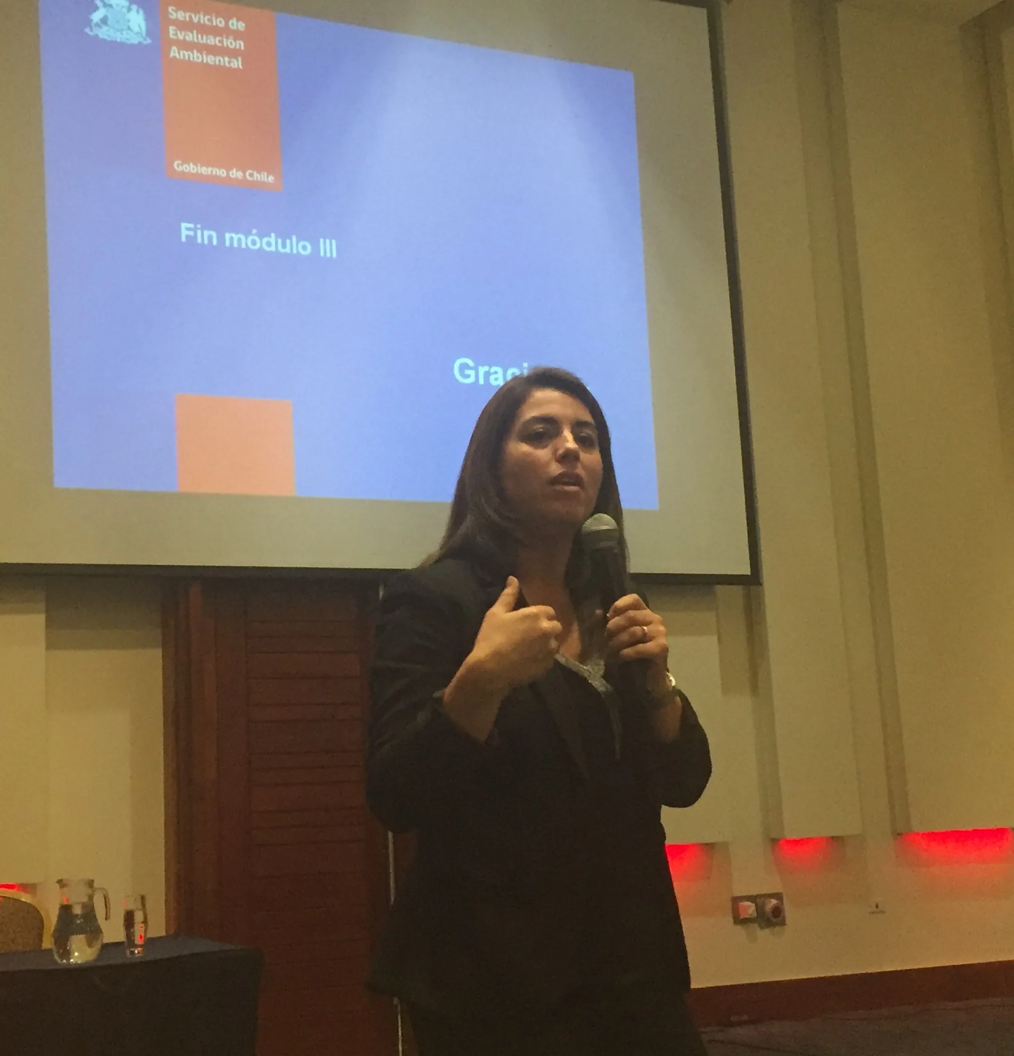 Karina Bastidas: La lobista de Australis que luego de ocho días de aprobada la megaplanta de residuos de Dumestre fue nombrada máxima autoridad del SEA de Los Rios