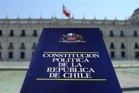 Cabildo Constitucional: La propuesta oficialista 100% electa y con 99 integrantes