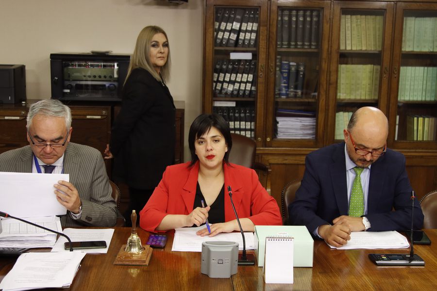 El triste espectáculo que protagonizaron Cariola y Jiles en discusión respecto del sexto retiro