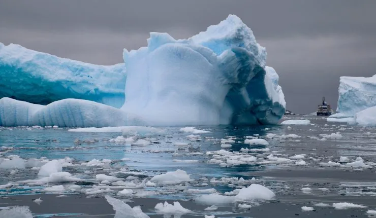 Científicos chilenos revelan inusual hábitat en la Antártica que es aprovechado por invertebrados y peces