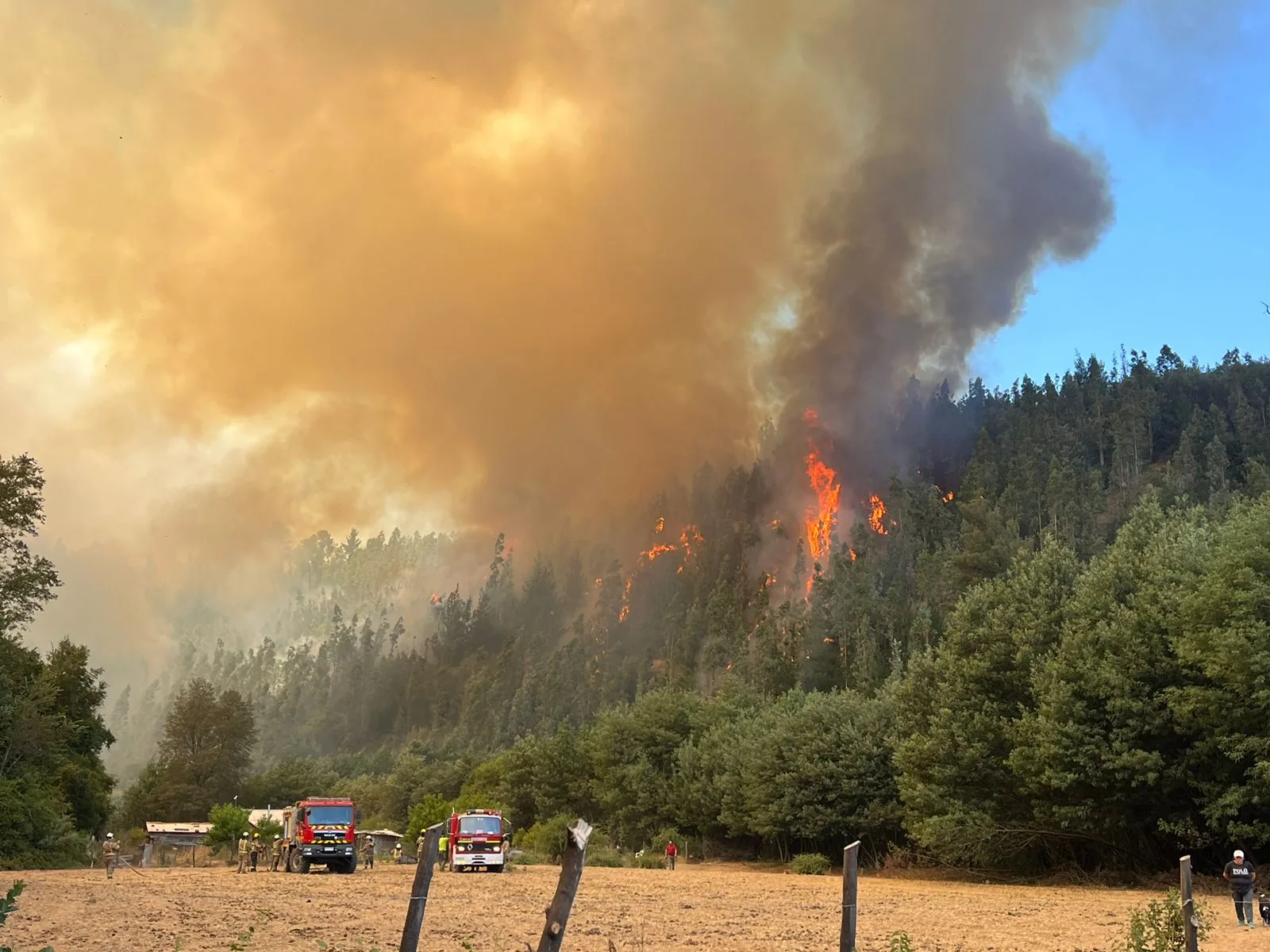 El fuego no nos deja ver el bosque [Por Manuel Rodríguez]