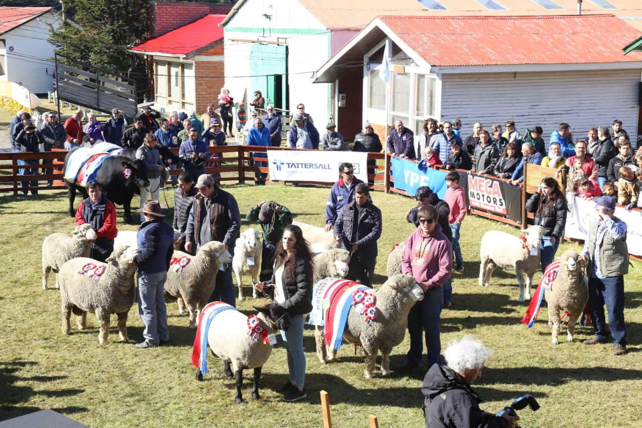 70 años de historia ganadera: Tradicional Expogama se realizará los días 3, 4 y 5 de marzo