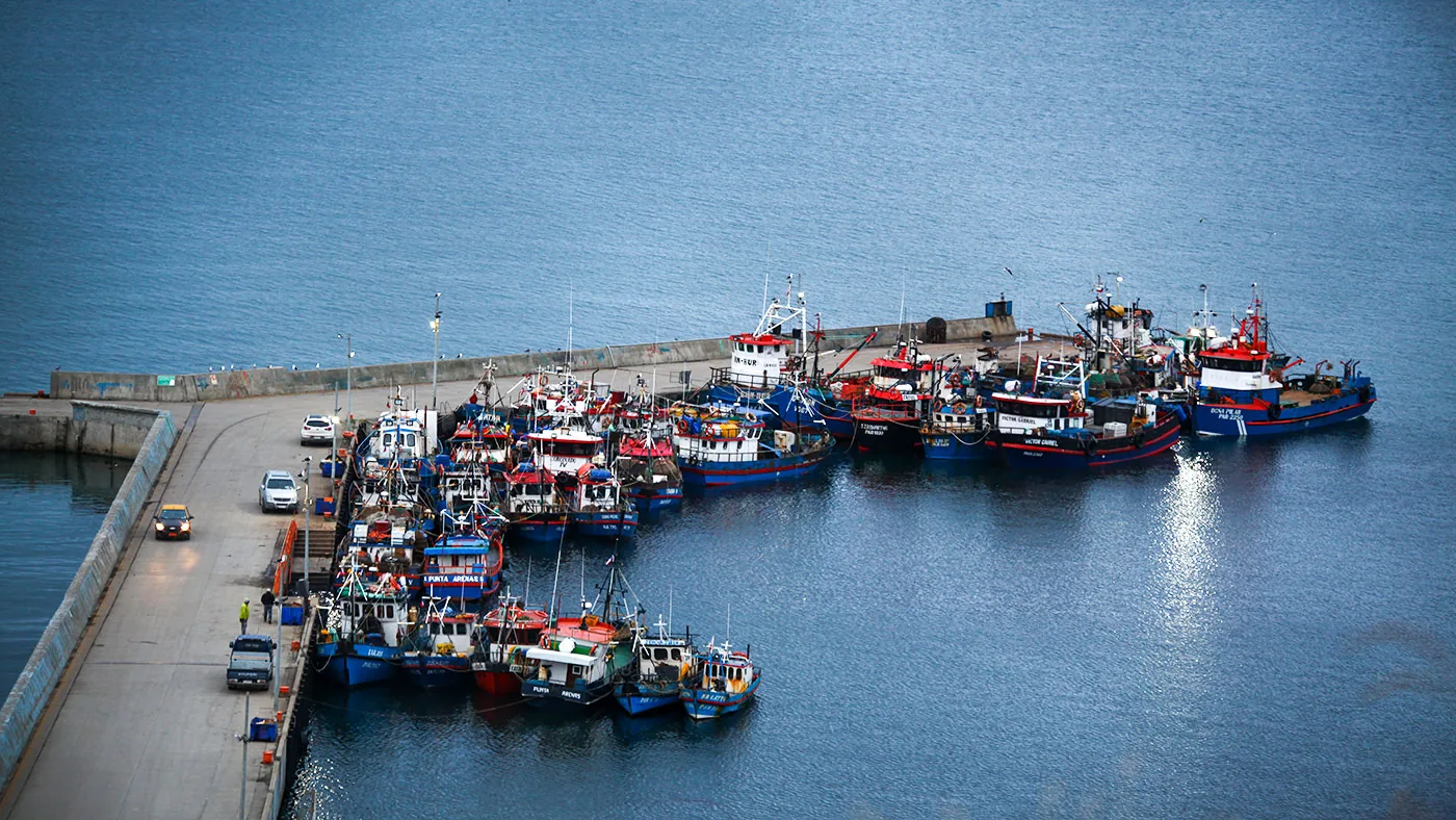 Transformación Histórica en la Pesca Artesanal: Un Nuevo Amanecer para la Caleta de Pescadores de Barranco Amarillo [Por Jaime Cosme]