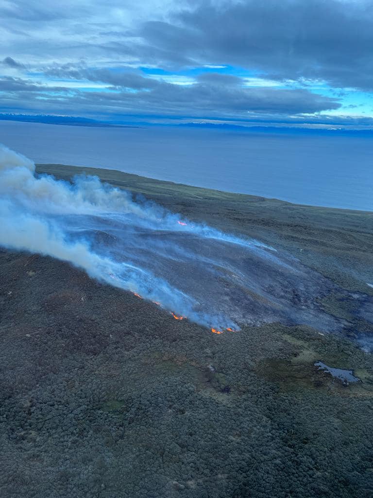 TDF: Cerca de mil hectáreas se han quemado producto de incendio provocado por ejercicios militares
