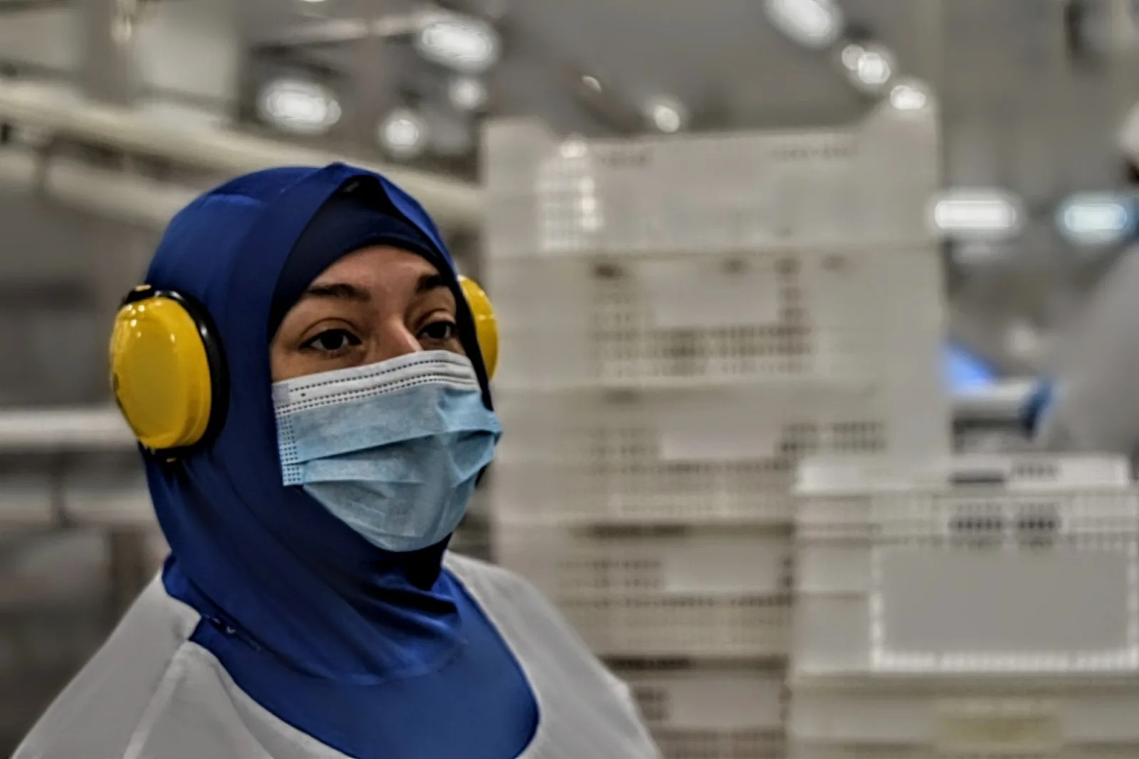 Cae fuertemente el empleo entre las mujeres en Magallanes en el marco de una crisis económica y social que se profundiza