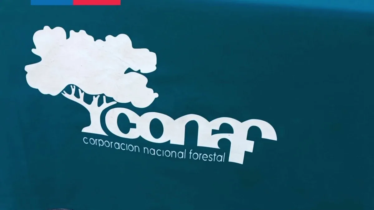 Cambio en la dirección regional de Conaf: Sacan de su cargo a Alejandra Silva y designan a Esteban Rojas