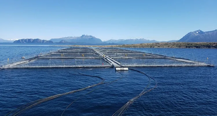 Nova Austral recurre de manera urgente a la Tesorería de la República en busca de evitar la quiebra