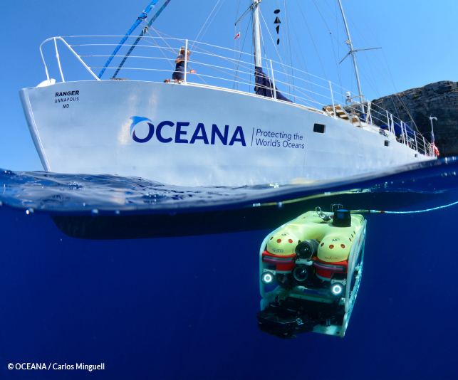 Oceana: ONG que rechaza la salmonicultura inspeccionará la actividad por un polémico acuerdo con el gobierno
