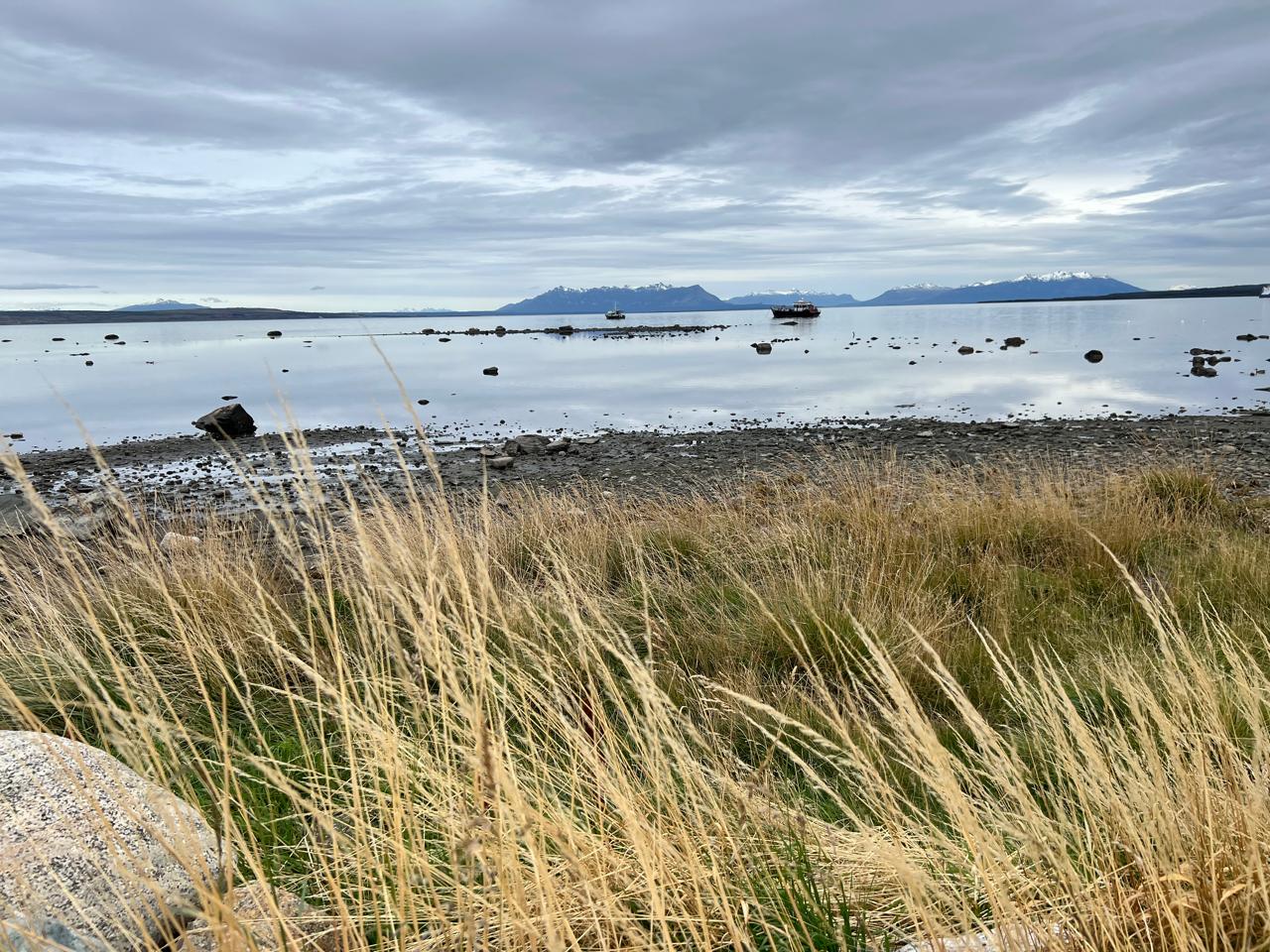 La «banda salvaje» de multimillonarios que quieren salvar a la Patagonia de los seres humanos (Por Claudio Andrade)