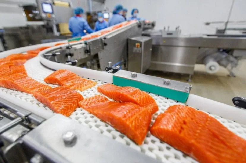 Exportaciones de salmón chileno crecen en valor y van consolidando un repunte en Magallanes