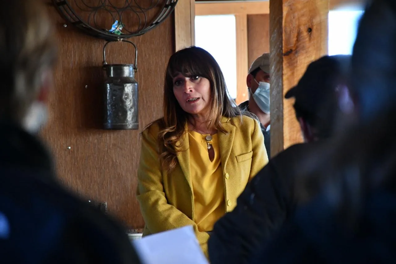 Nadie está tan en campaña como Antonieta Oyarzo (Por Claudio Andrade)