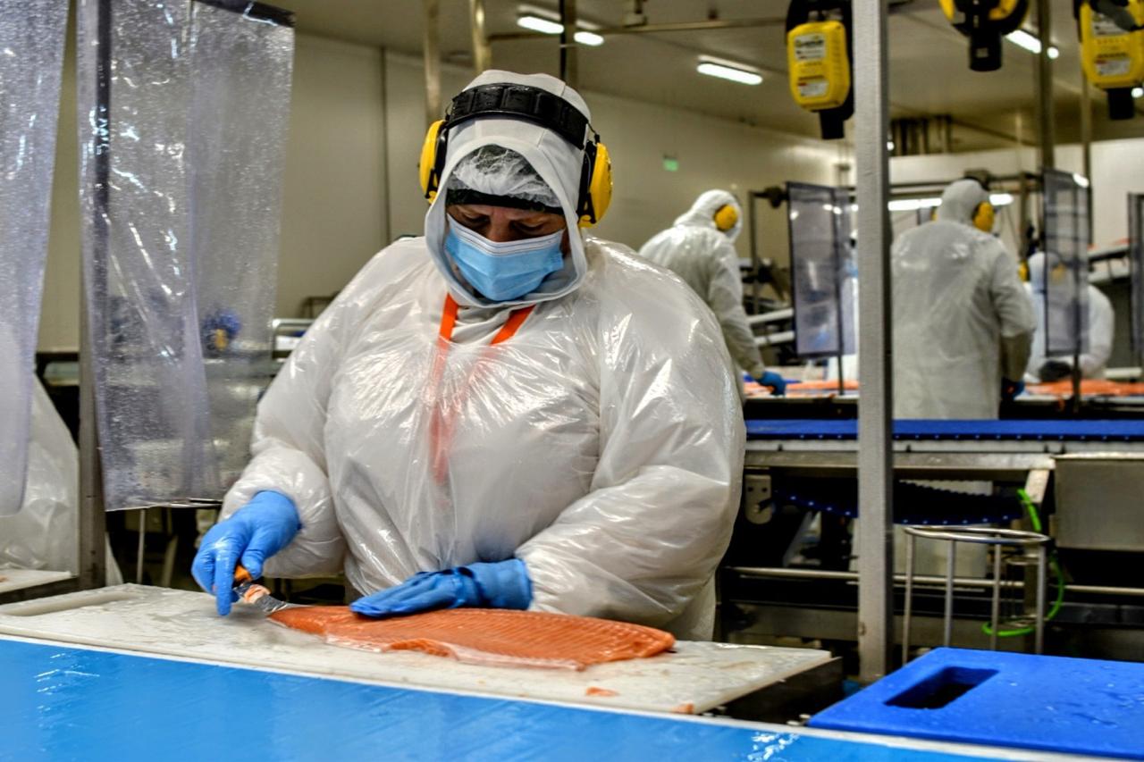 Por primera vez en la historia la producción acuícola supera a la pesca en captura (Por Claudio Andrade)