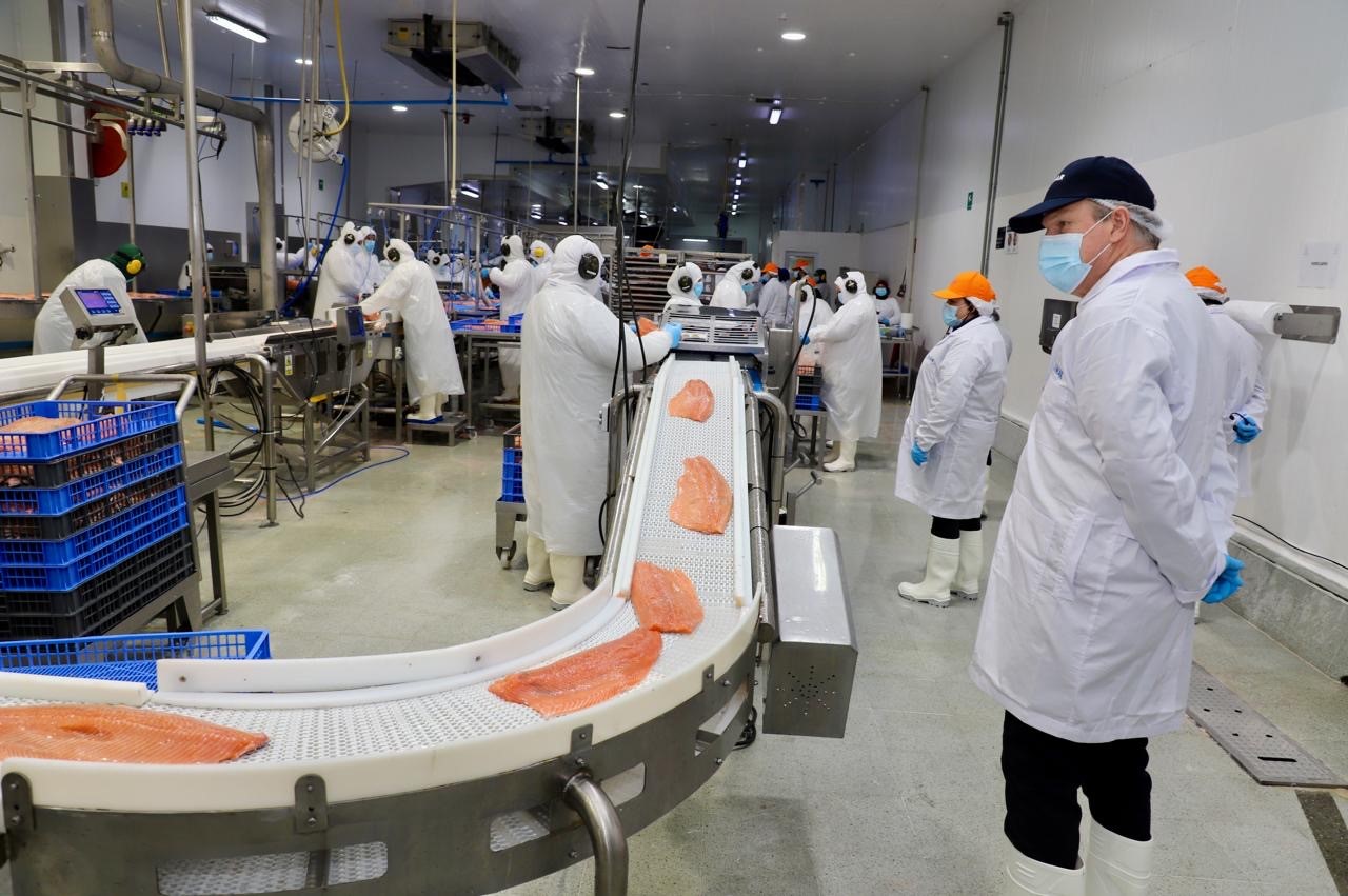 ¿Un guiño a la industria?: Blumar da inicio a las operaciones de su planta con la asistencia de todas las autoridades locales