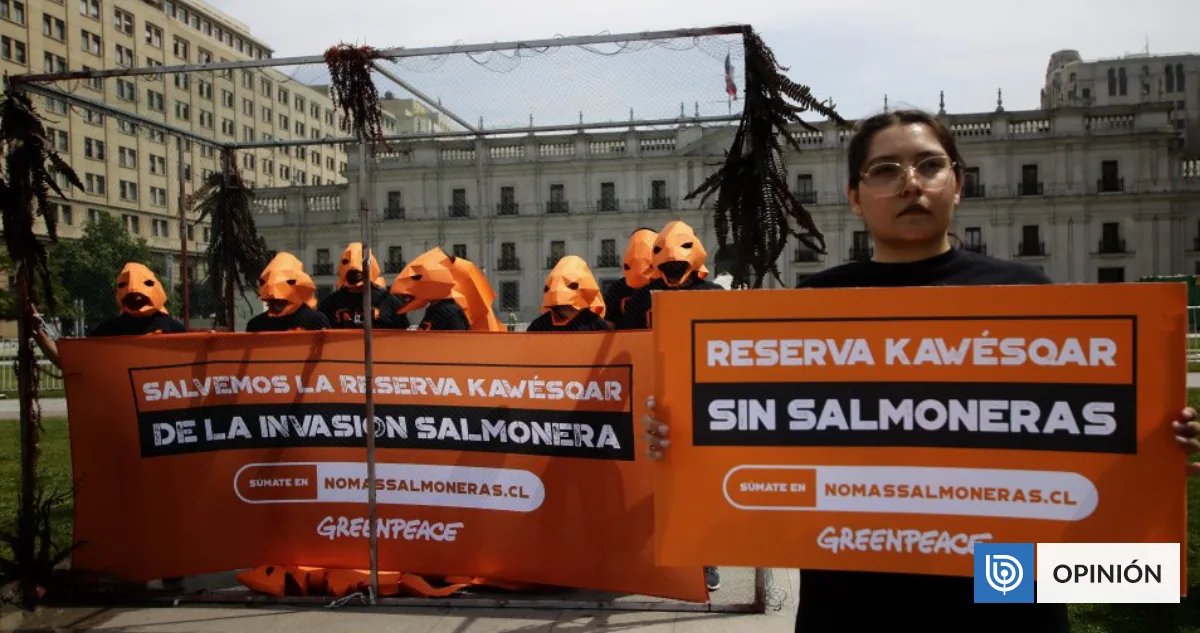 ONG’s y la influencia indebida [Por Carlos Odebret]