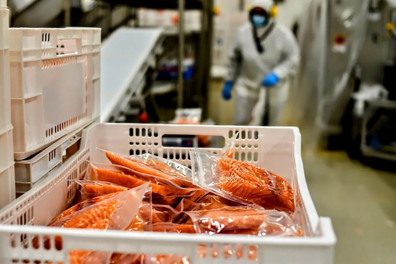 El salmón, el negocio y la proteína del futuro: ¿La Argentina se queda adentro o afuera? (Por Claudio Andrade)