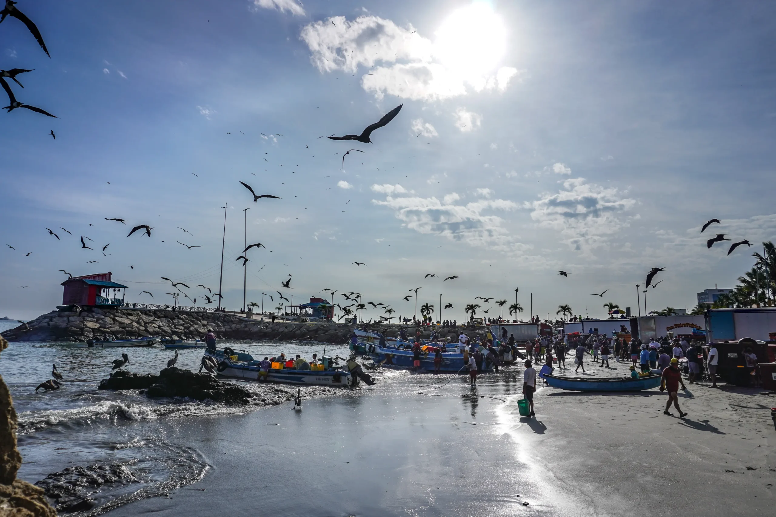 Acusan al subsecretario de pesca de falsear datos en el Congreso que perjudican a la pesca industrial y reclaman su renuncia (Por Claudio Andrade)