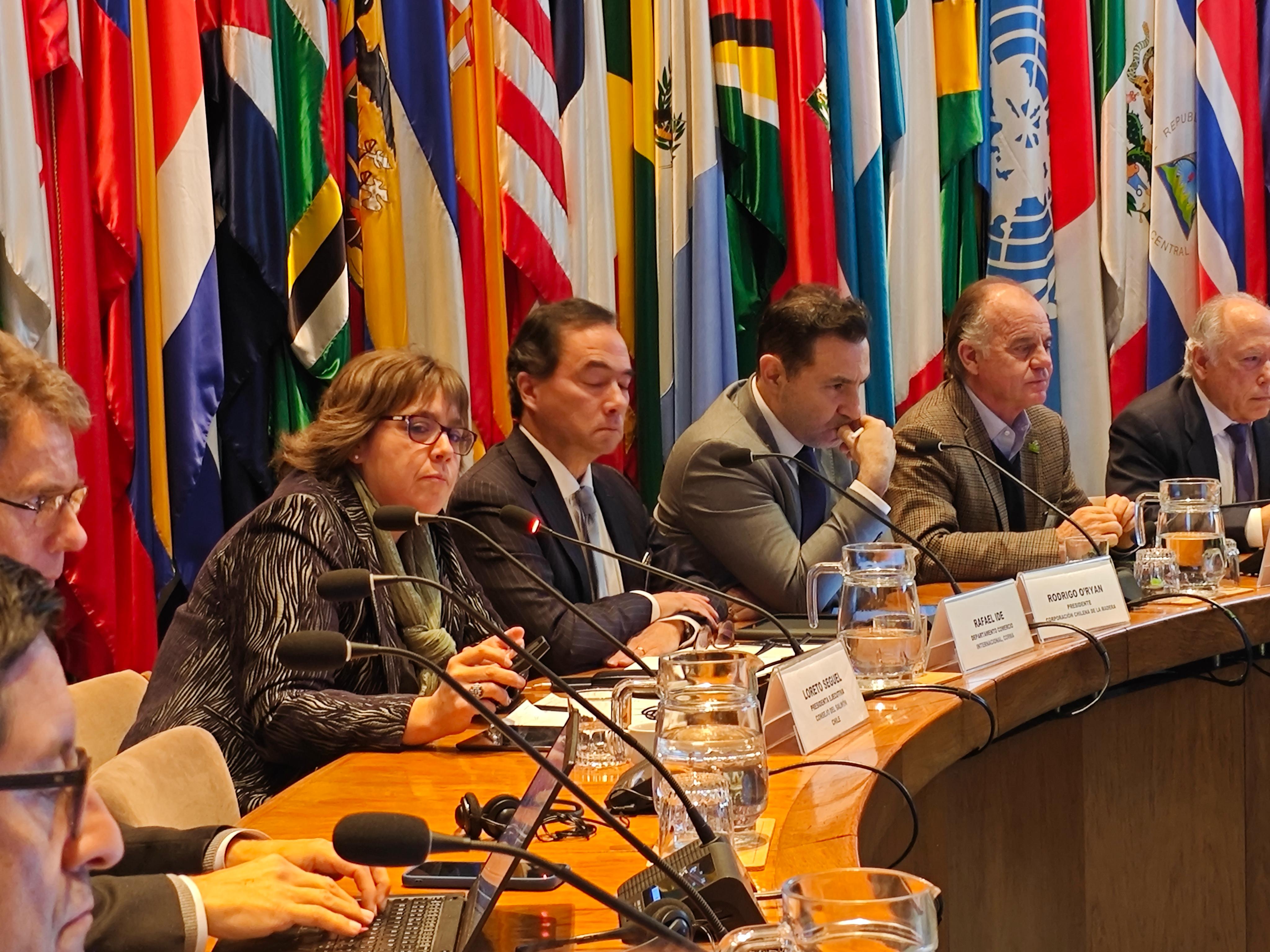 Consejo del Salmón expuso en la CEPAL sobre nuevas fórmulas de colaboración gremial para anticipar cambios geopolíticos