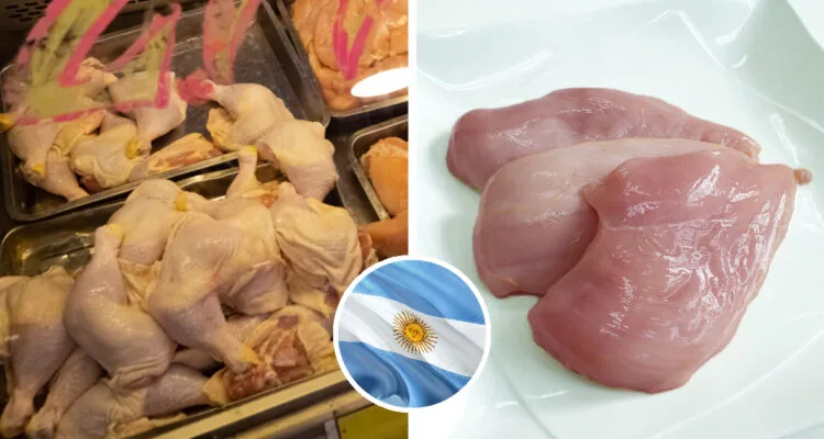 Ordenan suspender importaciones de pollo desde Argentina por brote de influenza aviar