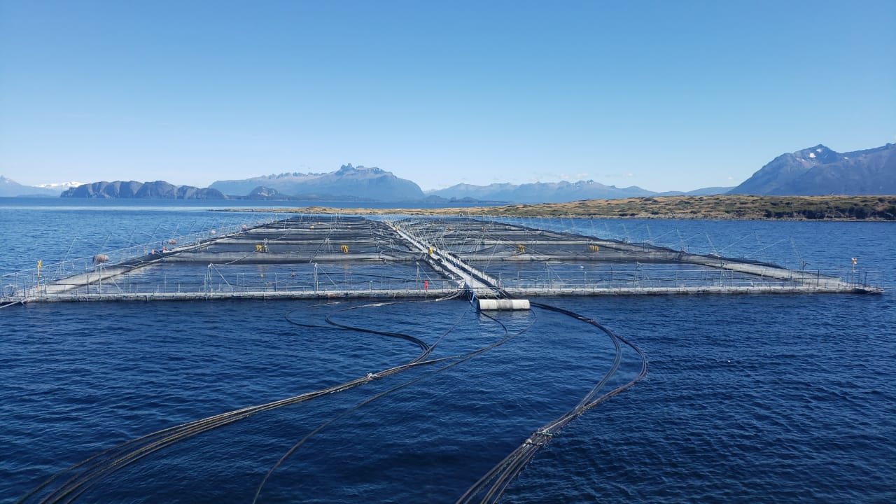 Proponen cuatro cambios regulatorios para inyectar un 7% más de empleo salmonero en Magallanes