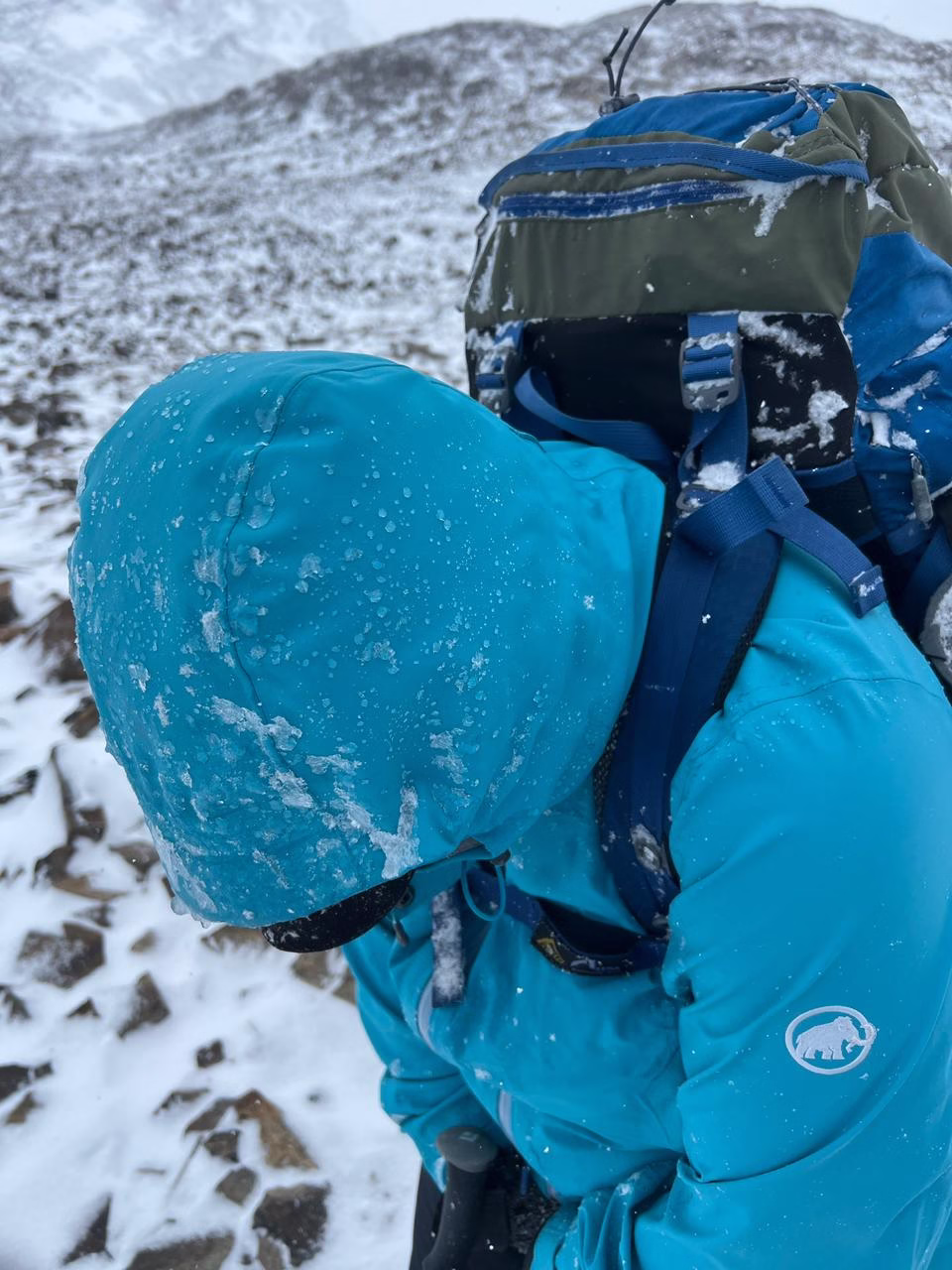 Tragedia en Torres del Paine: "Ese día estábamos completamente solos. Nadie vino a ayudarnos"