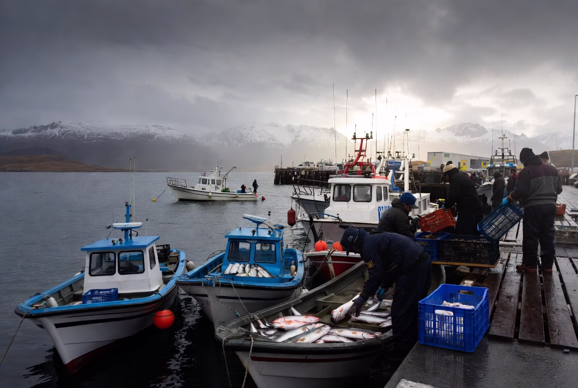 En enero de 2026, el desembarque pesquero totalizó 16.224,31 toneladas en Magallanes