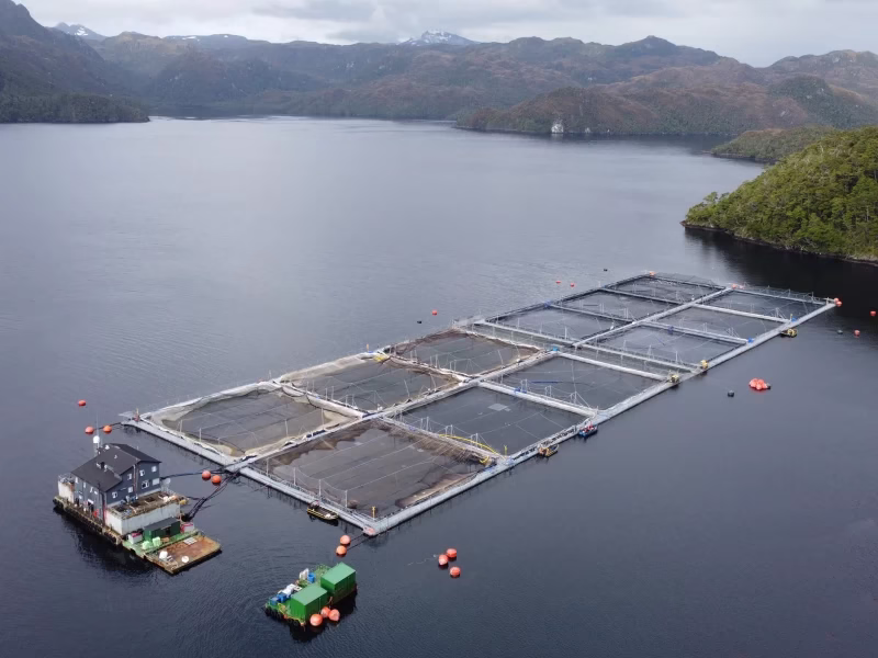 Plan Salmón 2050 y Ley Lafkenche: Lo que puede redefinir el futuro productivo de Magallanes