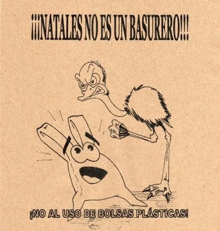 Cómo Puerto Natales derrotó a las bolsas de plástico (Por Salvador Miranda)