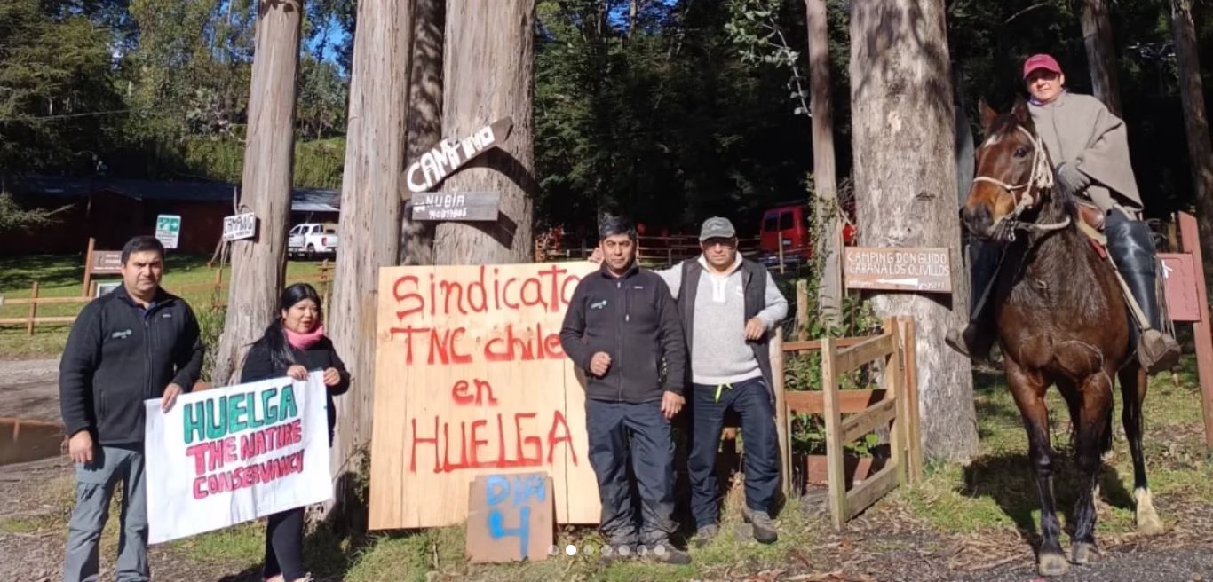 Trabajadores de ONG ambientalista denuncian: "La mayoría tiene una sobrecarga de trabajo y es muy difícil lograr los objetivos para mejorar el sueldo"